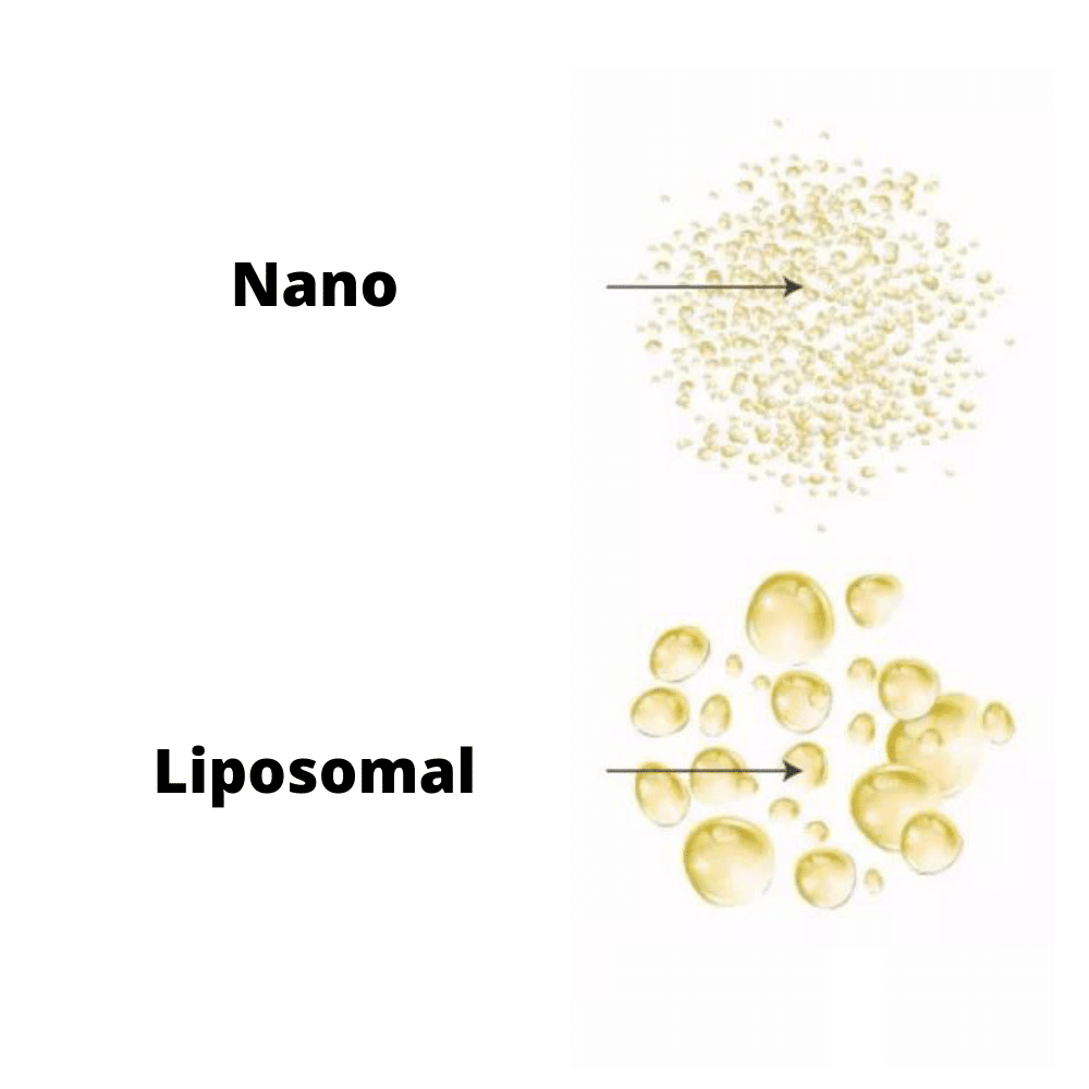 Nanotechnologie vs. liposomal