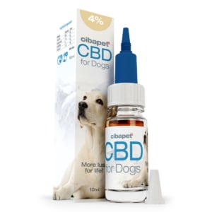 Eine Schachtel CBD-Pastillen für Katzen (1,3 mg) neben einer Flasche.