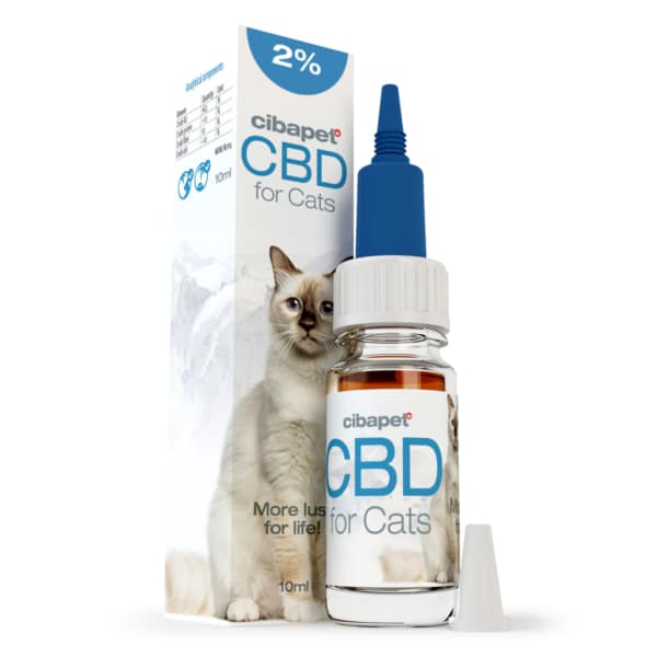 Eine Katze sitzt neben einer CBD-Pastillen für Katzen (1,3 mg) Flasche.