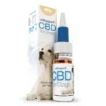 Eine Schachtel CBD-Pastillen für Katzen (1,3 mg) neben einer Flasche.